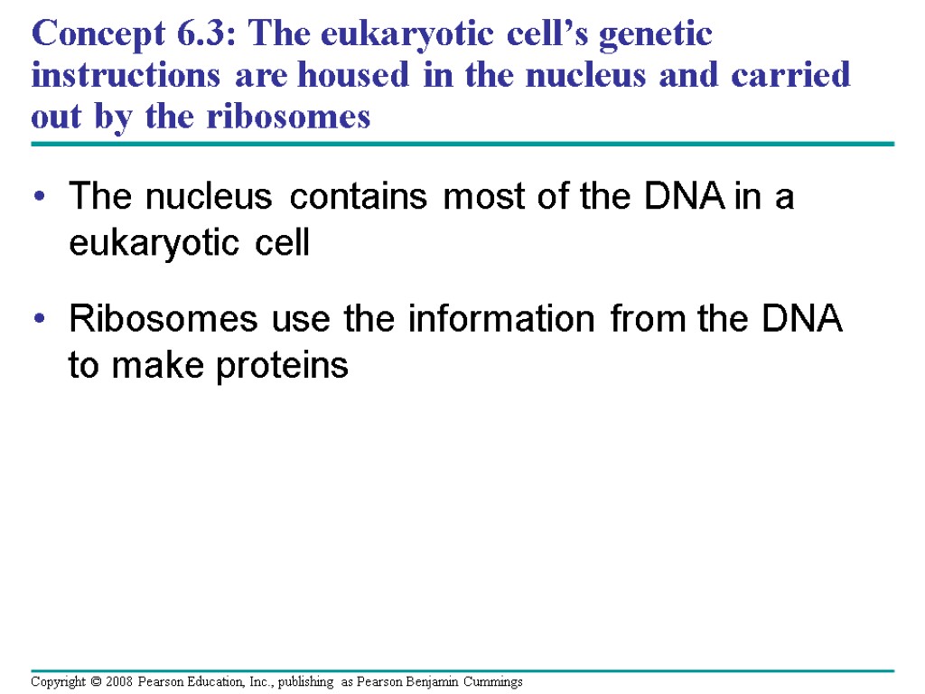 Concept 6.3: The eukaryotic cell’s genetic instructions are housed in the nucleus and carried